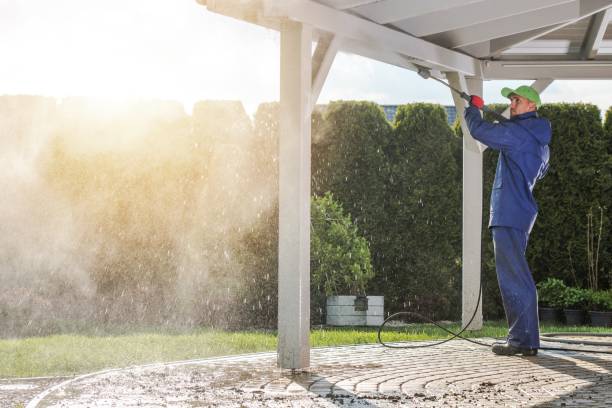 Best Fence Cleaning  in Mcalmont, AR