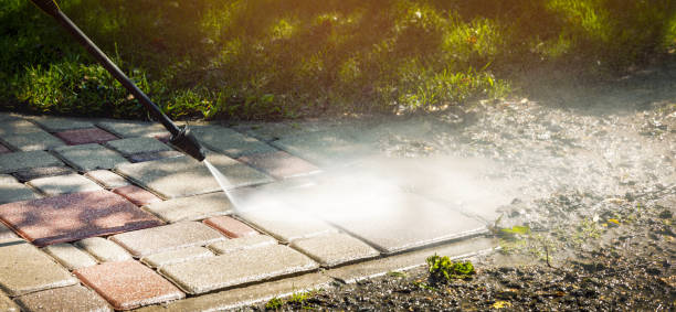 Best Solar Panel Cleaning  in Mcalmont, AR